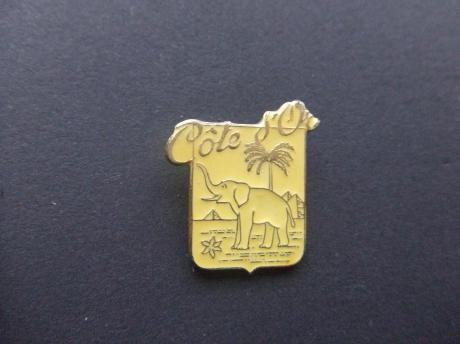 Olifant Cote d'Or chocolade (2)